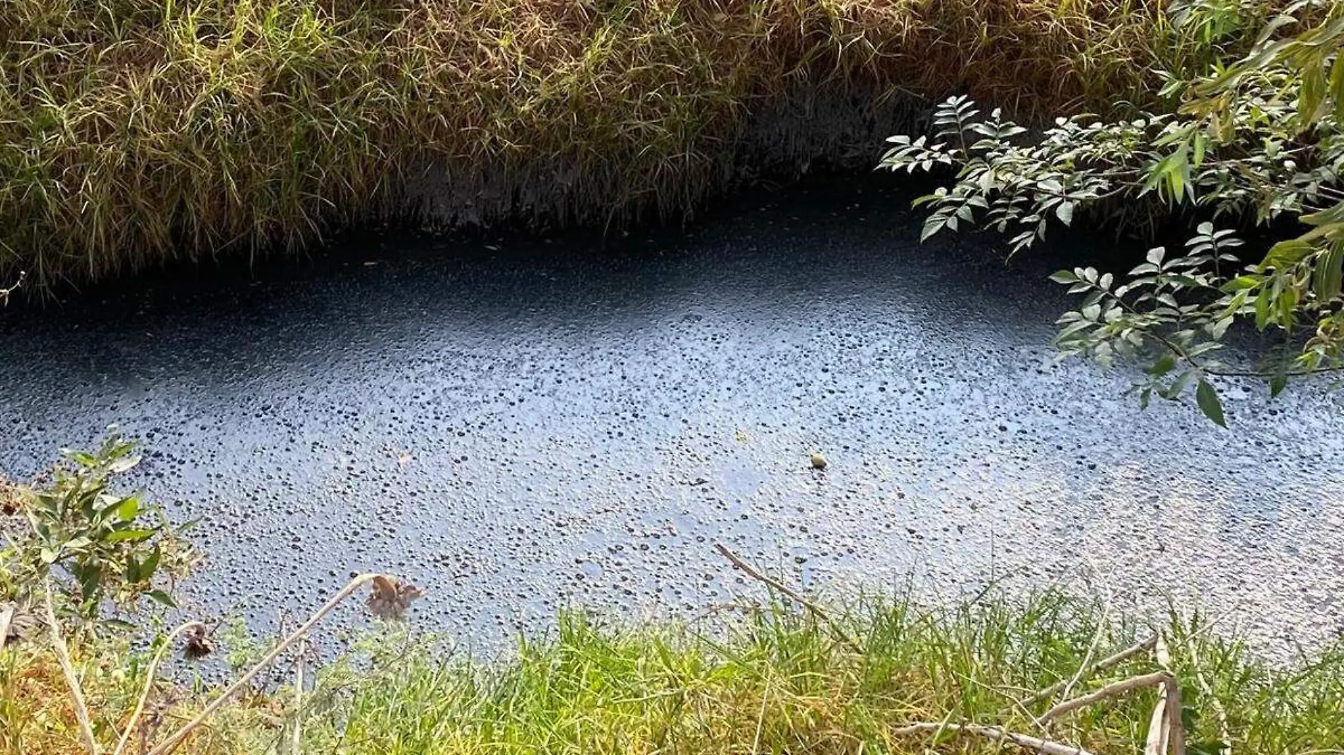 Rio Rabanillo contaminacion